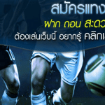 สมัครเว็บแทงบอล เครดิตฟรี