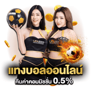 เว็บแทงบอล