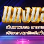 เว็บพนันแท้