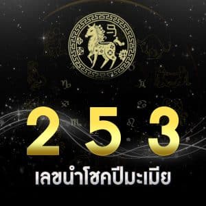 เลขเด็ด ปีมะเมีย